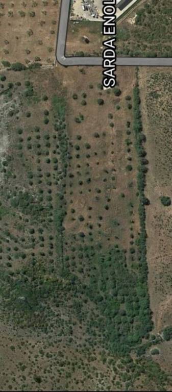 terreno agricolo in vendita ad Usini
