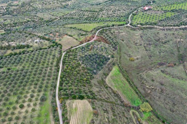 terreno agricolo in vendita ad Usini