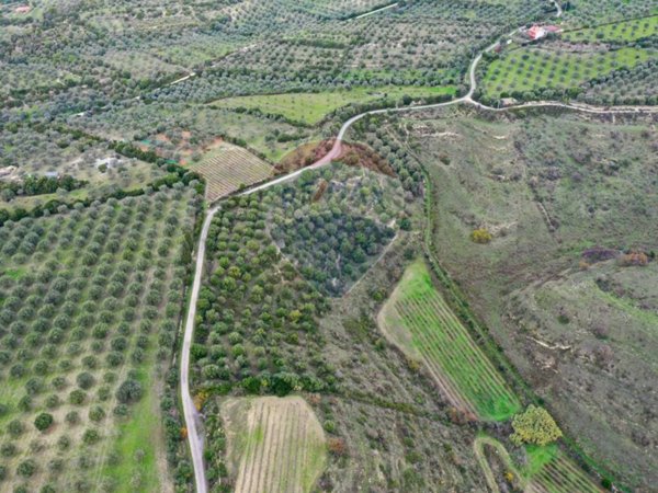 terreno agricolo in vendita ad Usini