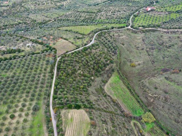 terreno agricolo in vendita ad Usini
