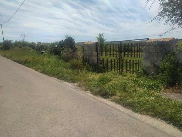terreno agricolo in vendita ad Usini