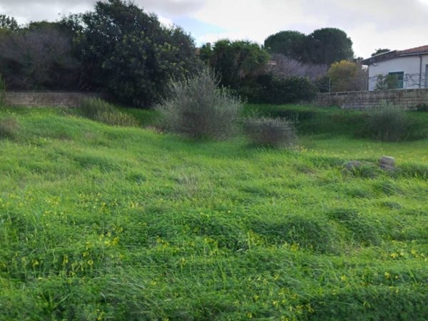 terreno agricolo in vendita ad Usini