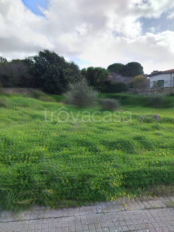 terreno agricolo in vendita ad Usini