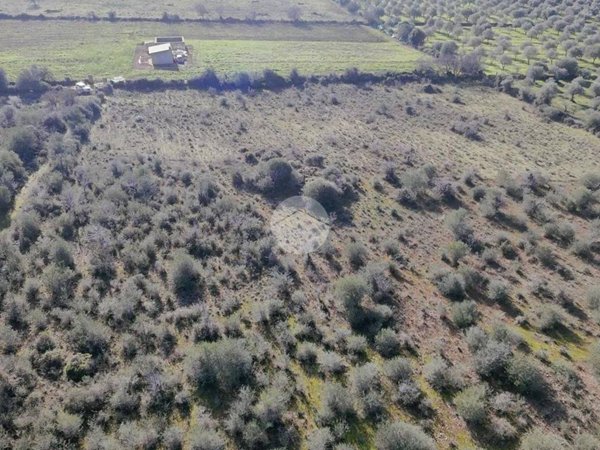 terreno edificabile in vendita ad Usini