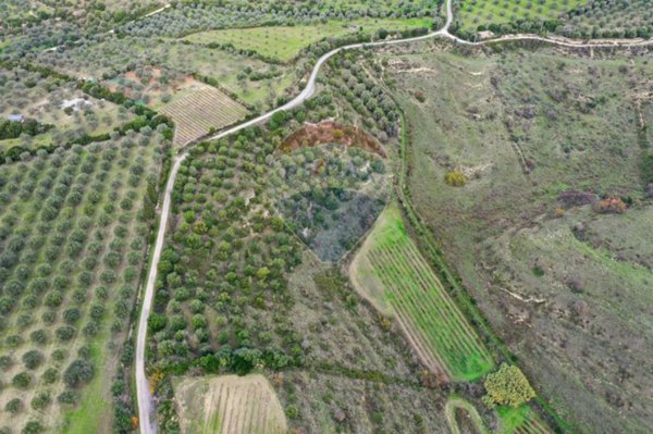 terreno agricolo in vendita ad Usini