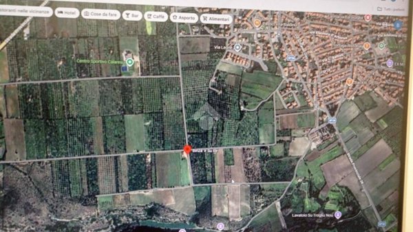 terreno agricolo in vendita ad Usini