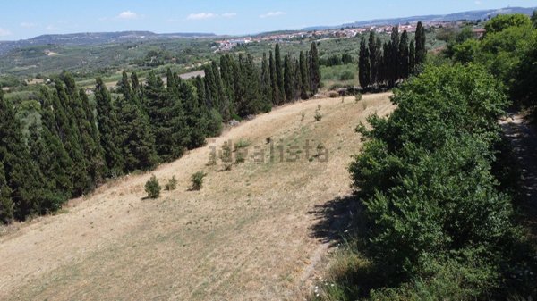 terreno in vendita ad Usini
