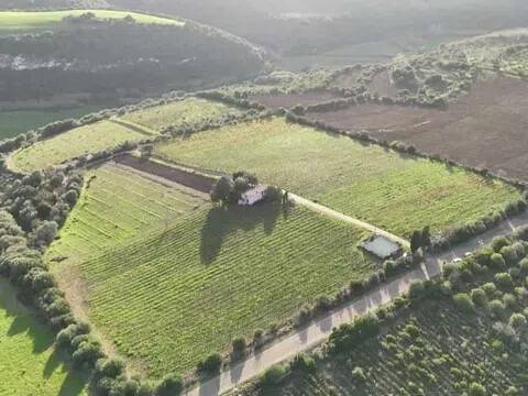 terreno in vendita ad Usini