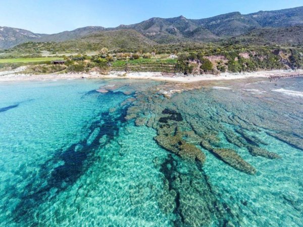 appartamento in vendita a Villanova Monteleone