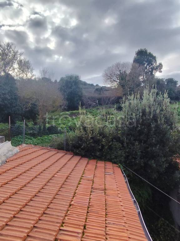 casa indipendente in vendita a Villanova Monteleone