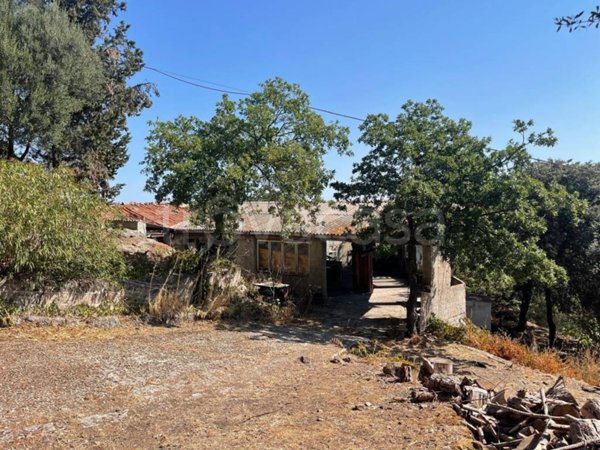 casa indipendente in vendita a Villanova Monteleone