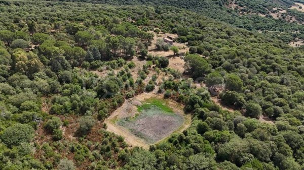 terreno agricolo in vendita a Villanova Monteleone