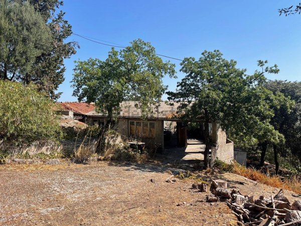 pentavano in vendita a Villanova Monteleone