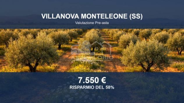 terreno agricolo in vendita a Villanova Monteleone