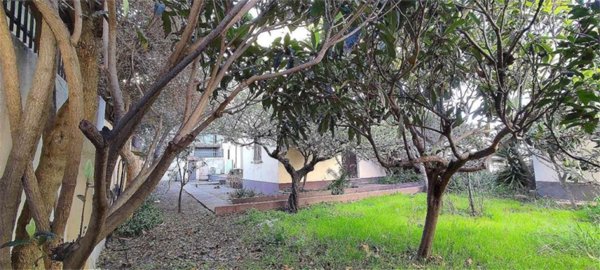 appartamento in vendita a Valledoria