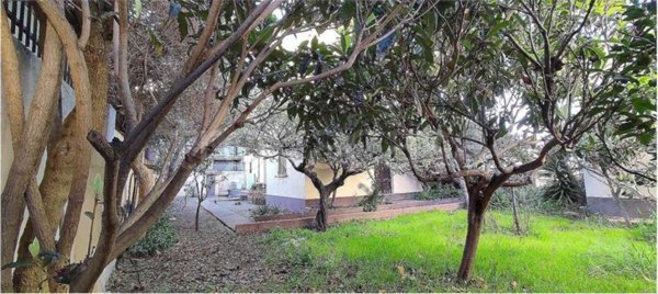 appartamento in vendita a Valledoria