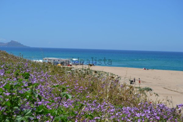 appartamento in vendita a Valledoria in zona La Ciaccia