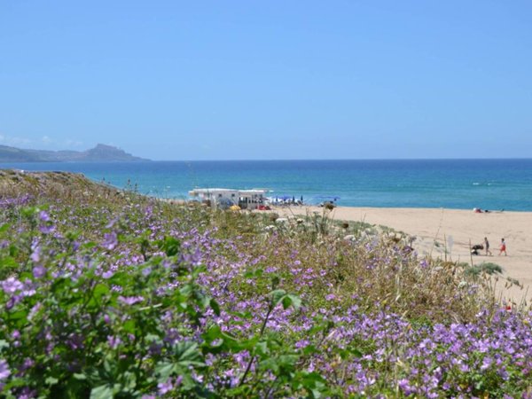 appartamento in vendita a Valledoria in zona La Ciaccia