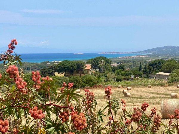 appartamento in vendita a Valledoria in zona La Muddizza