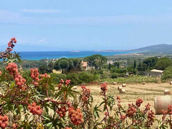 appartamento in vendita a Valledoria in zona La Muddizza
