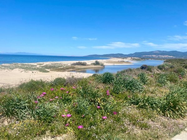 appartamento in vendita a Valledoria