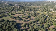 terreno agricolo in vendita a Telti