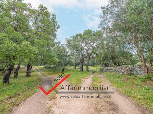 terreno agricolo in vendita a Telti