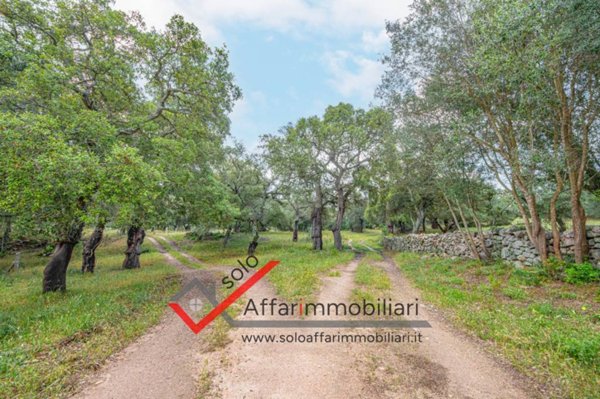 casa indipendente in vendita a Telti