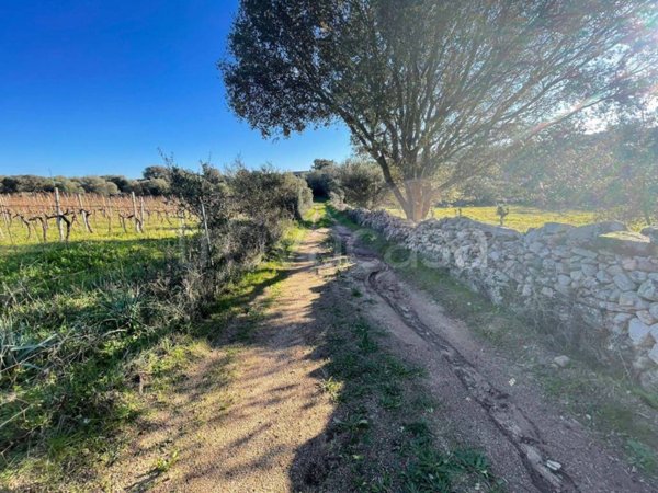 terreno agricolo in vendita a Telti