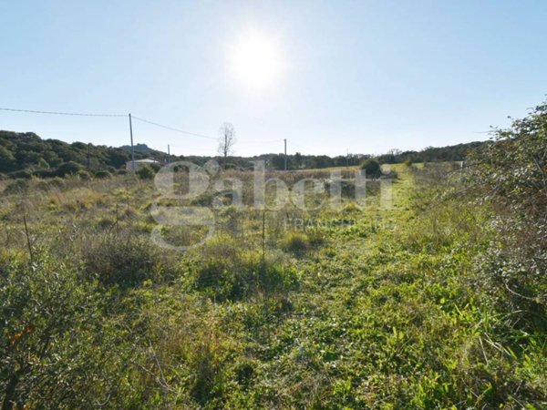 terreno agricolo in vendita a Telti
