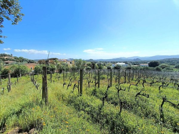 villa in vendita a Telti