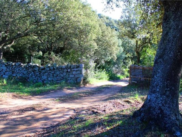 terreno agricolo in vendita a Telti