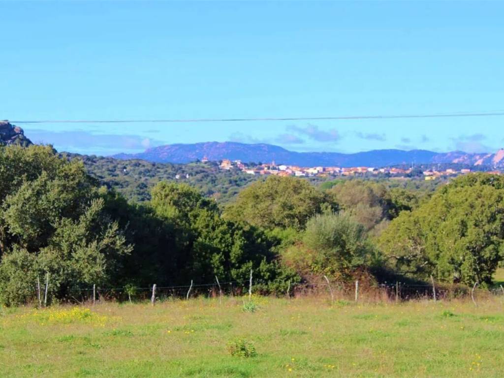 terreno agricolo in vendita a Telti