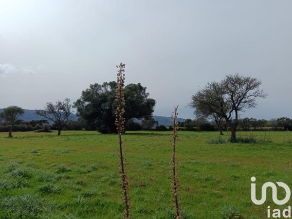 terreno agricolo in vendita a Telti