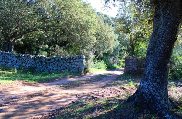 casa indipendente in vendita a Telti