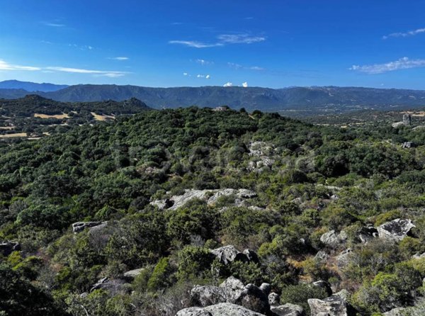 terreno agricolo in vendita a Telti
