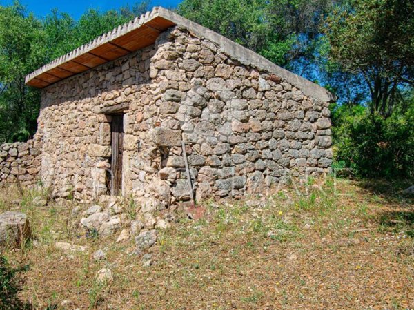 appartamento in vendita a Telti