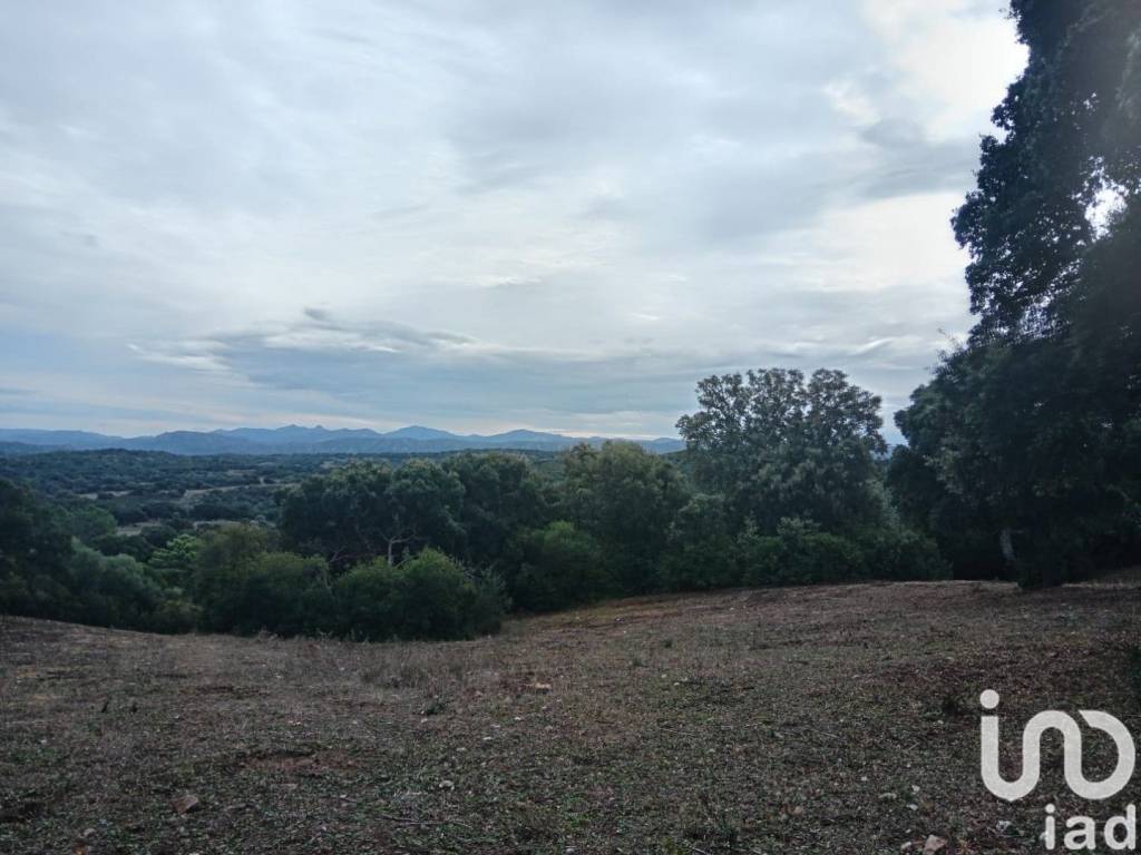 terreno agricolo in vendita a Telti