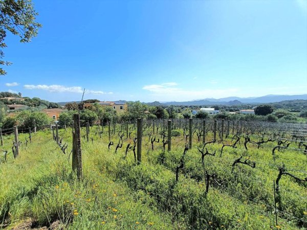 villa in vendita a Telti