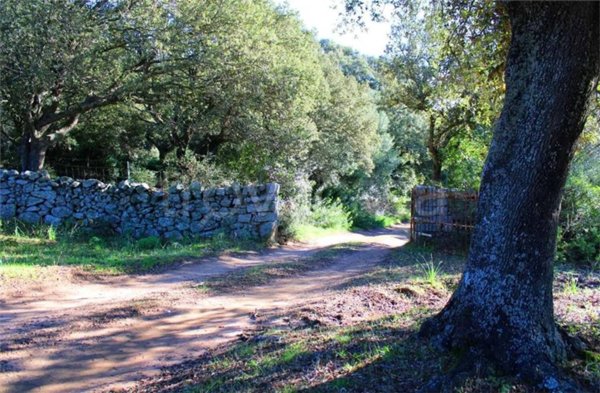 casa indipendente in vendita a Telti