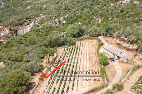 locale di sgombero in vendita a Telti