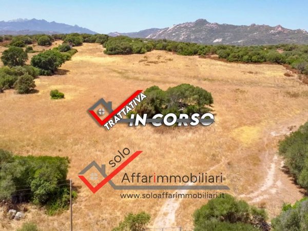 terreno agricolo in vendita a Telti