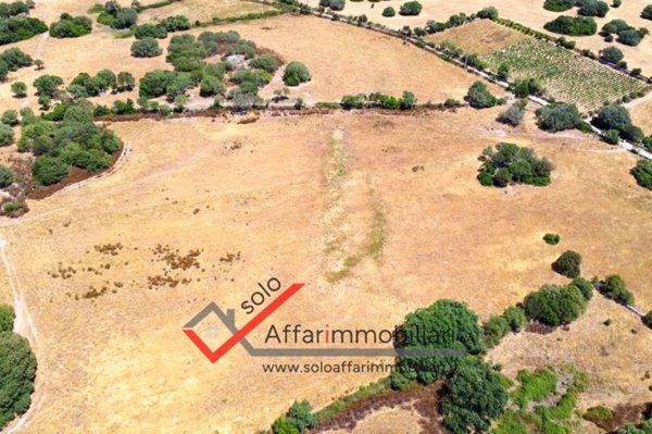 terreno agricolo in vendita a Telti
