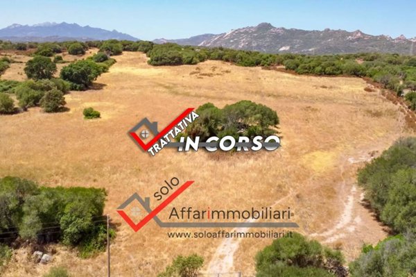 terreno agricolo in vendita a Telti