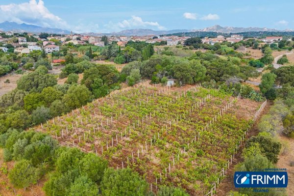 terreno edificabile in vendita a Telti