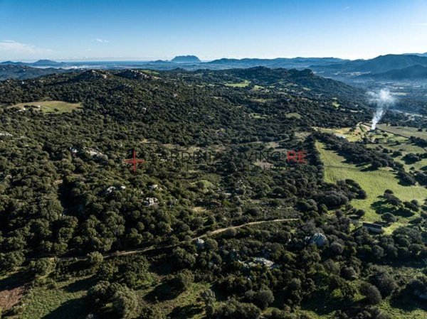 terreno agricolo in vendita a Telti