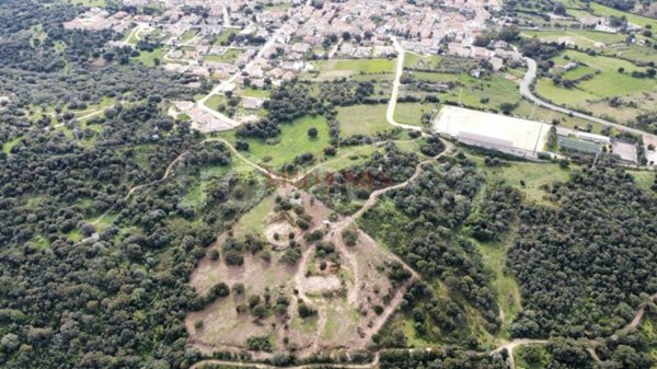 casa indipendente in vendita a Telti