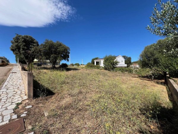 terreno agricolo in vendita a Telti