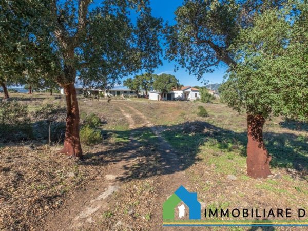 casa indipendente in vendita a Telti