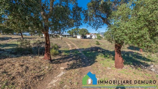 casa indipendente in vendita a Telti